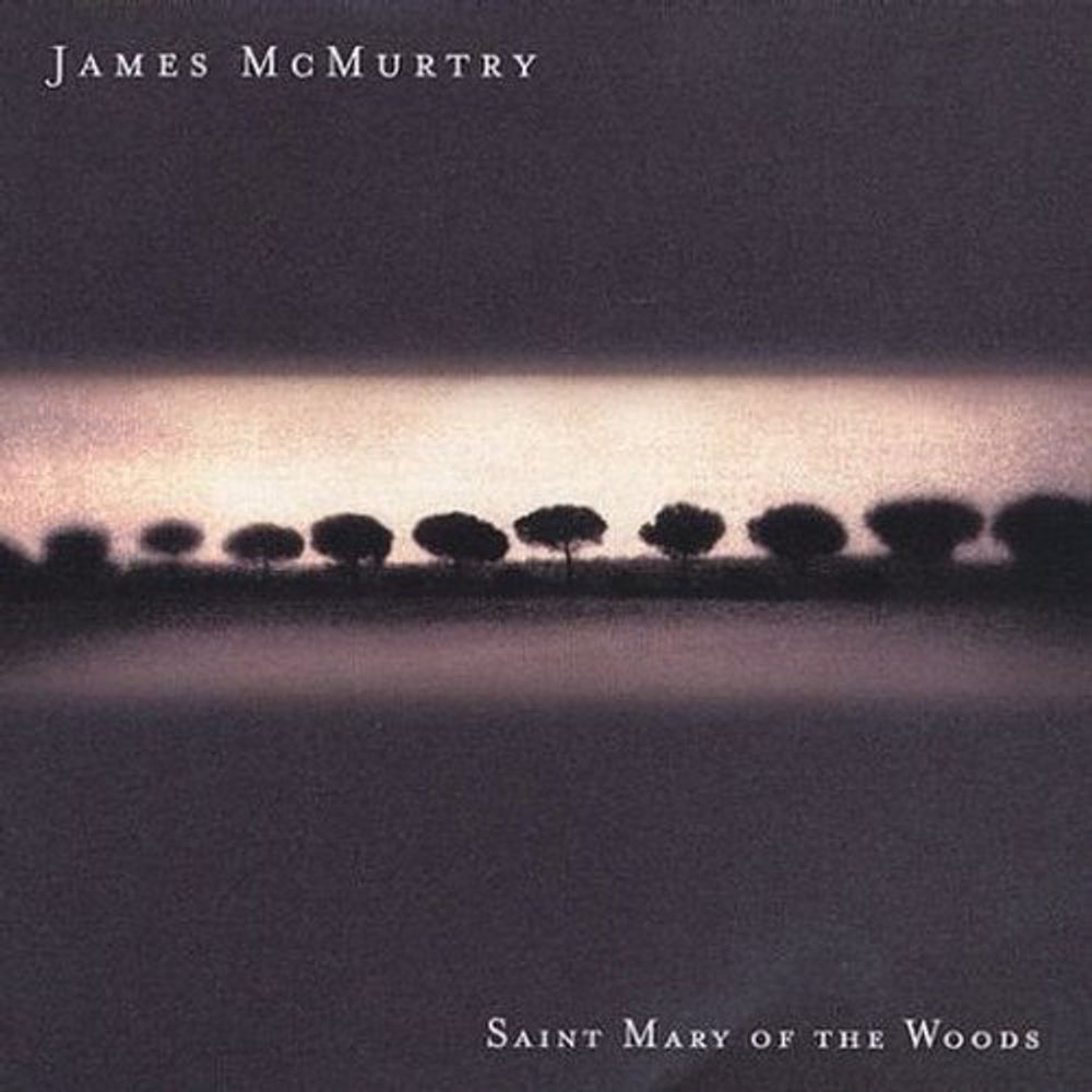 

Диск CD Saint Mary Of The Woods - James McMurtry