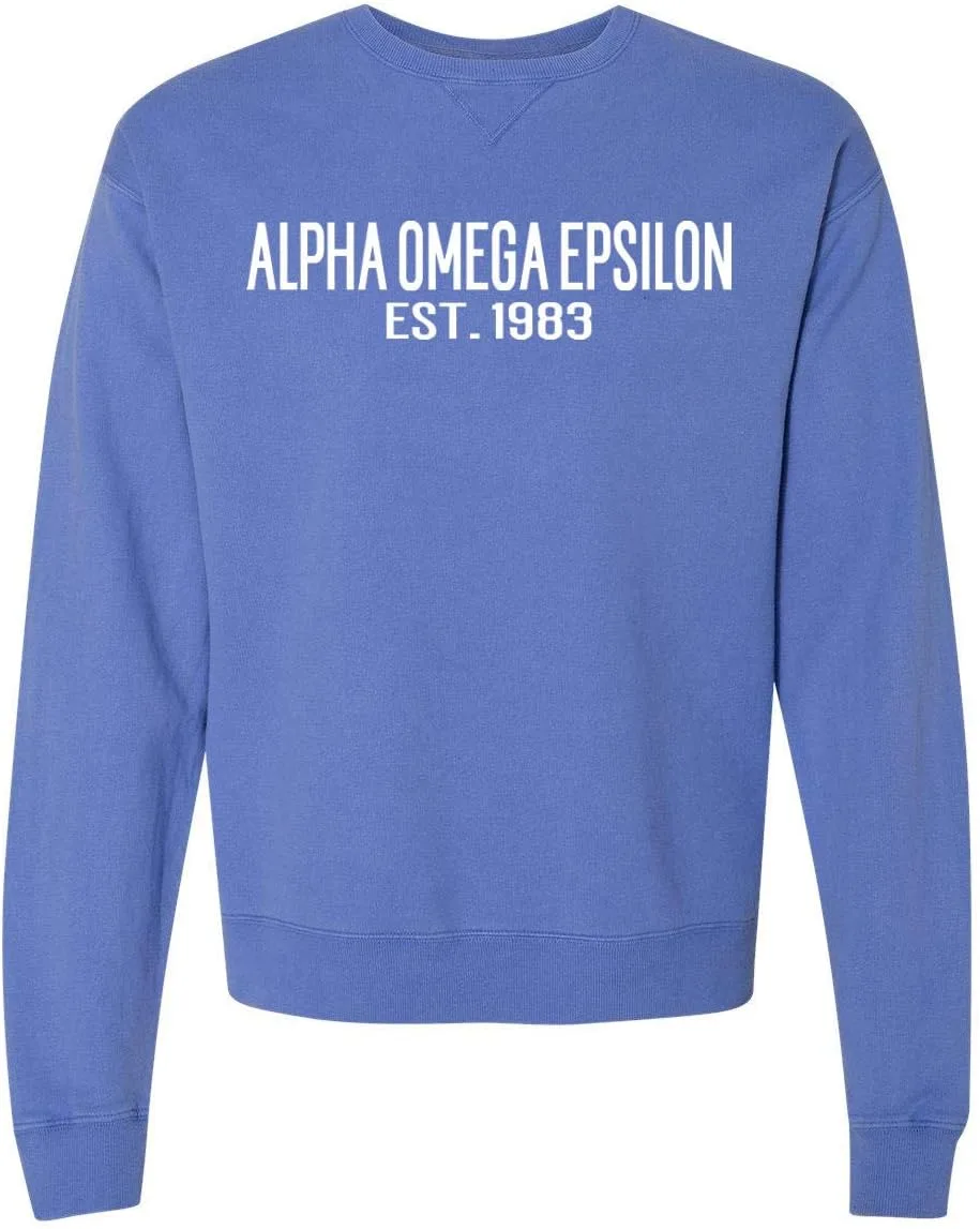 

Толстовка Mega Greek Alpha Omega Epsilon Established