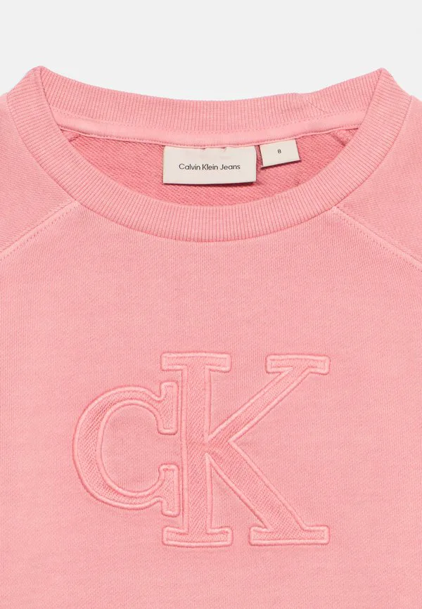 Толстовка с логотипом Calvin Klein Jeans, Quartz Pink — фото 4