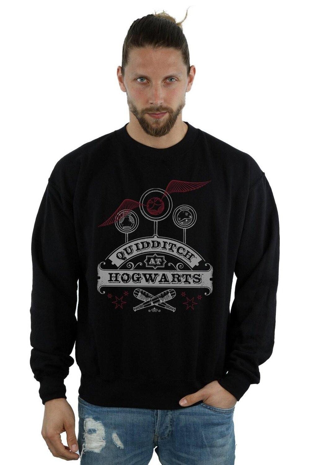 

Толстовка для квиддича в Хогвартсе Harry Potter, черный