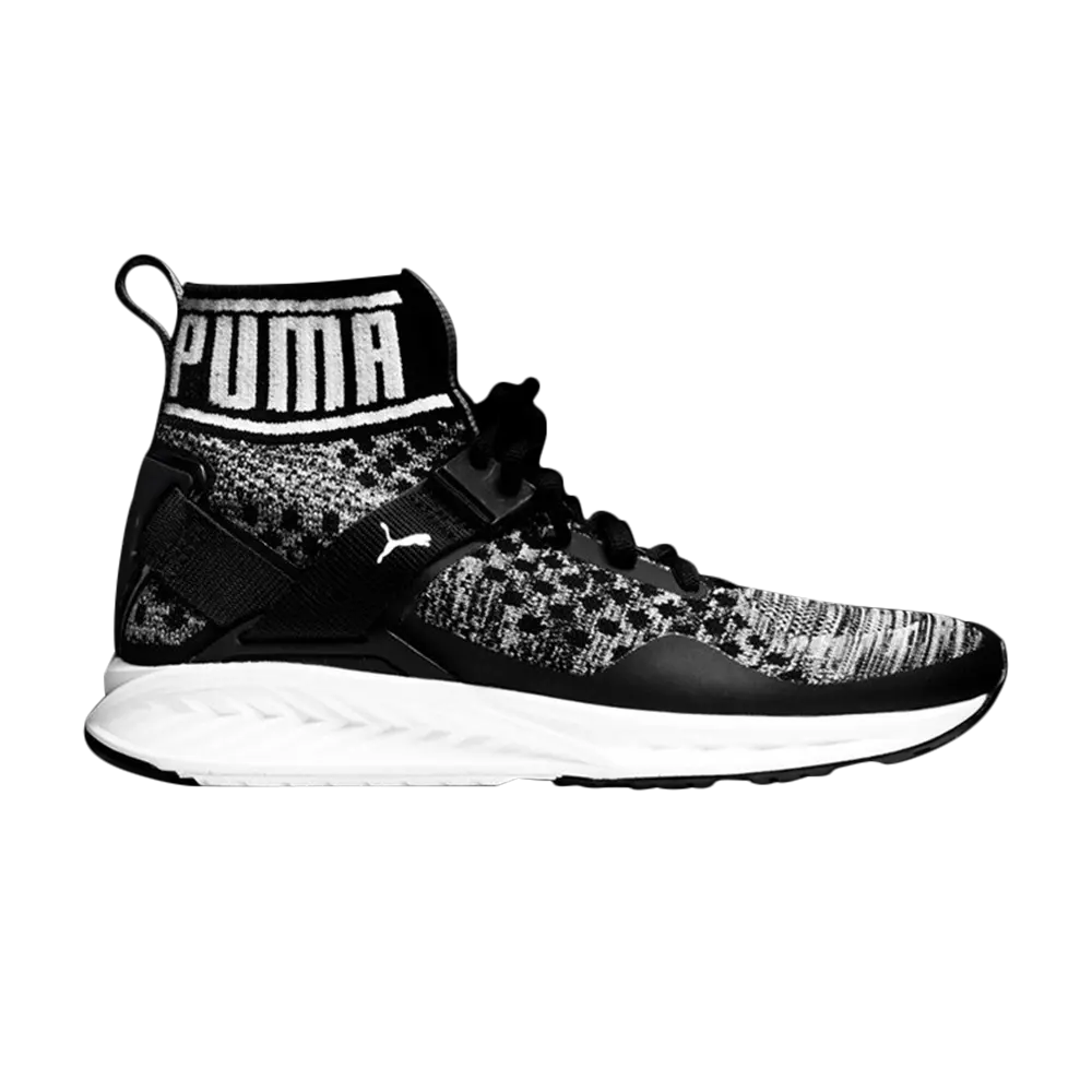Кроссовки Wmns Ignite evoKNIT Puma, серый