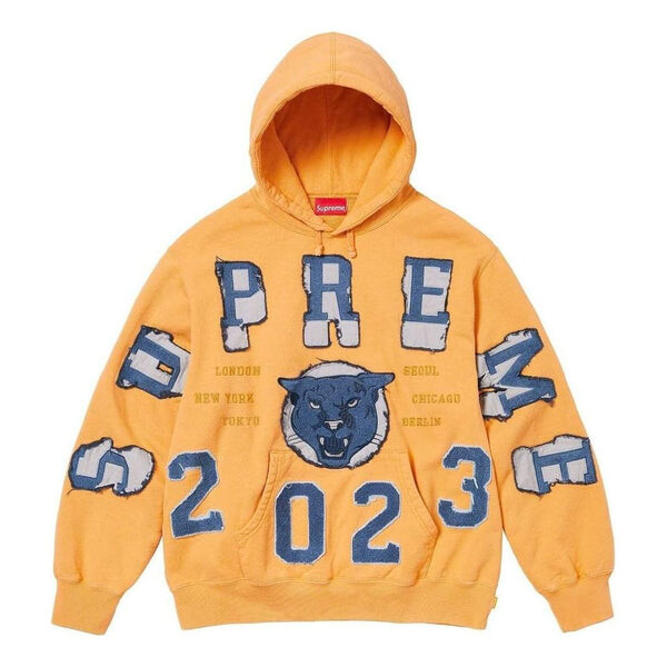 

Толстовка fw23 week5 washed panther hoodie 'orange' Supreme, оранжевый
