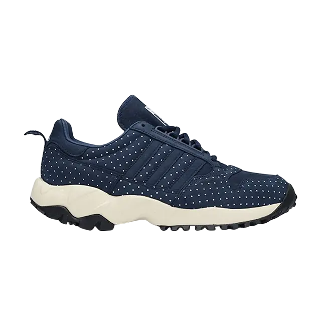 

Кроссовки Adidas Zx 500 Trail 84-Lab 'Kazuki', синий