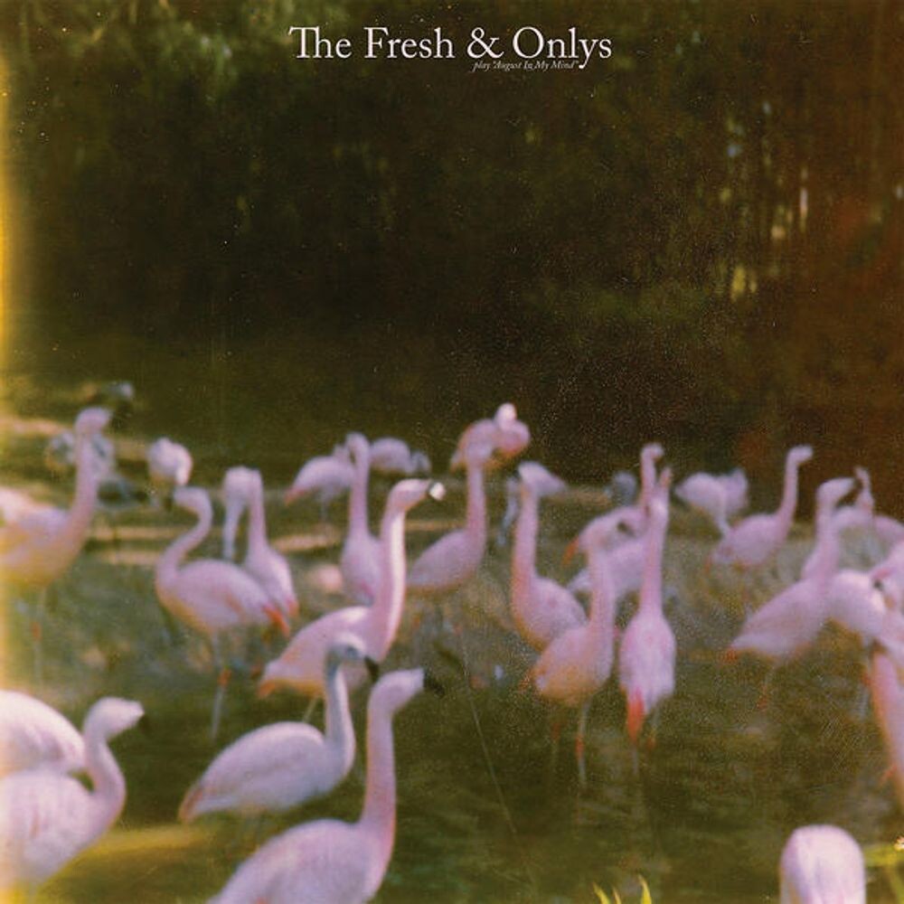 

Виниловая пластинка LP August In My Mind EP (12") - The Fresh & Onlys