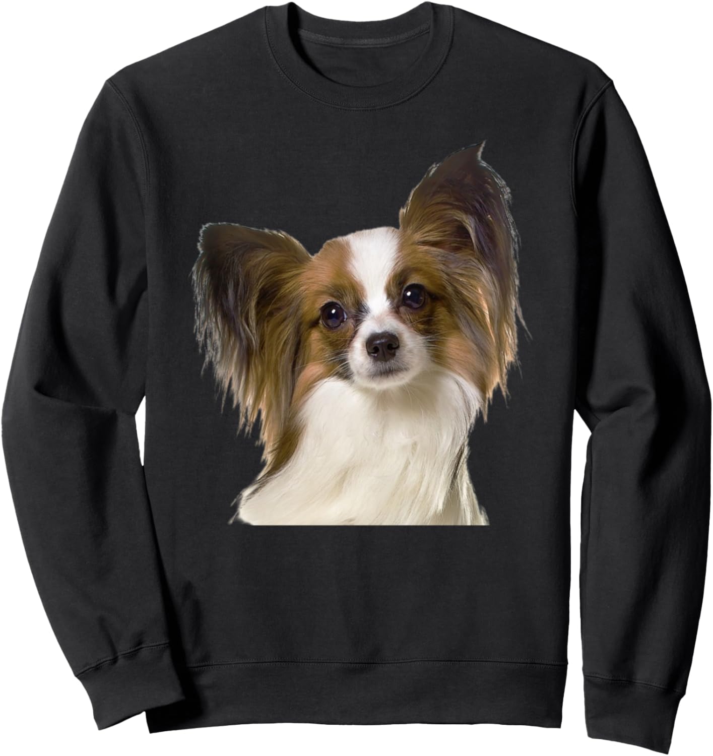 

Толстовка с изображением милого папийона, черная Best Dog Design Apparel Company, Черный, Толстовка с изображением милого папийона, черная Best Dog Design Apparel Company