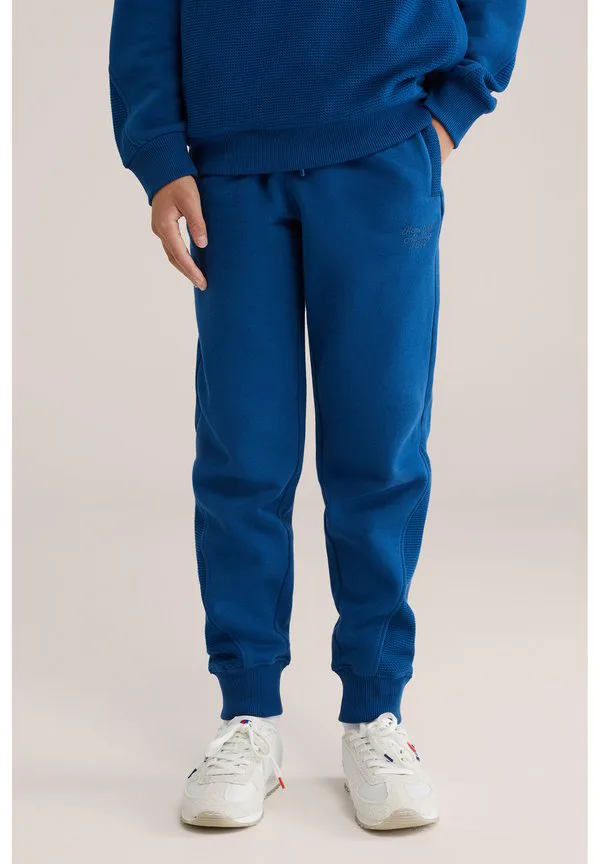 Спортивные штаны We Fashion, Blue — фото 2