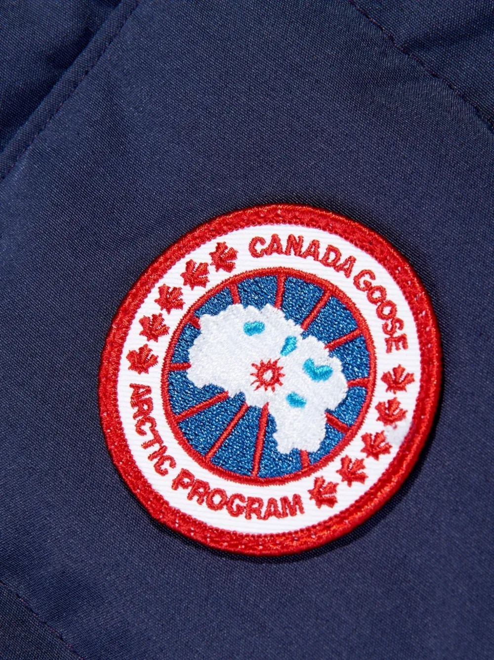 Жилет с нашивкой с логотипом Vanier Canada Goose Kids, синий — фото 3