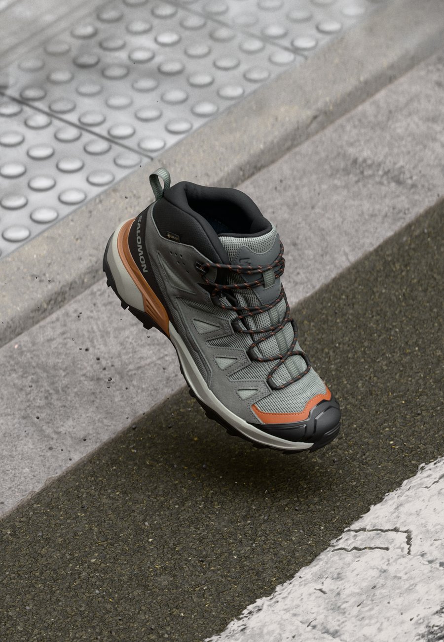 

Кроссовки Salomon X ULTRA 360 MID GTX, Wrought Iron/Sedona Sage/Sierra/Grey