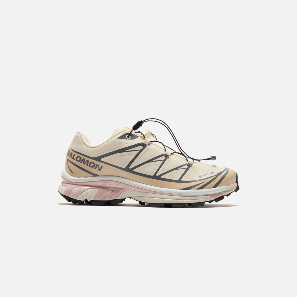

Кроссовки Salomon XT-6 GTX, цвет Almond Milk/Feather Gray/Pale Mauve