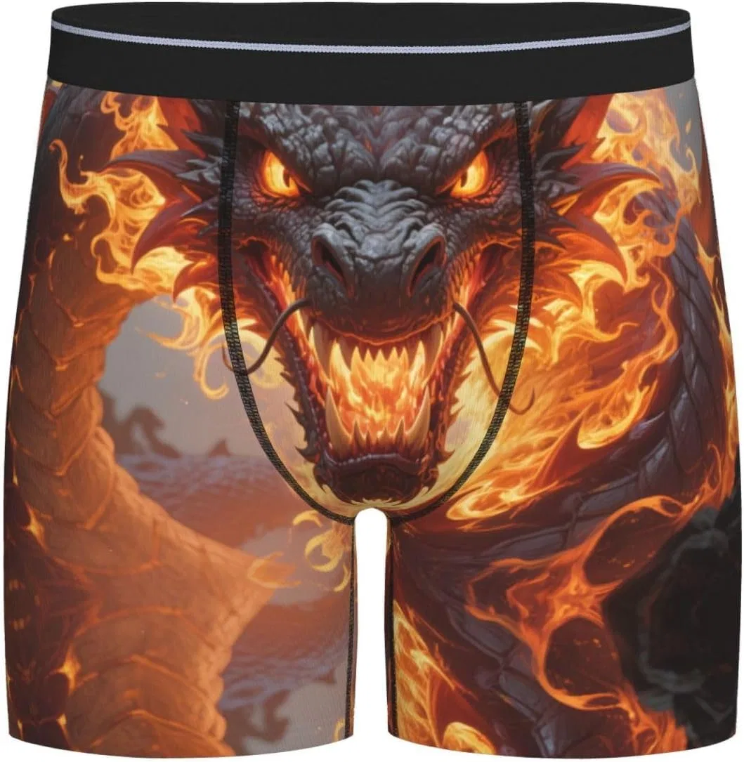 Боксеры с принтом Fire Dragon, Fire Dragon