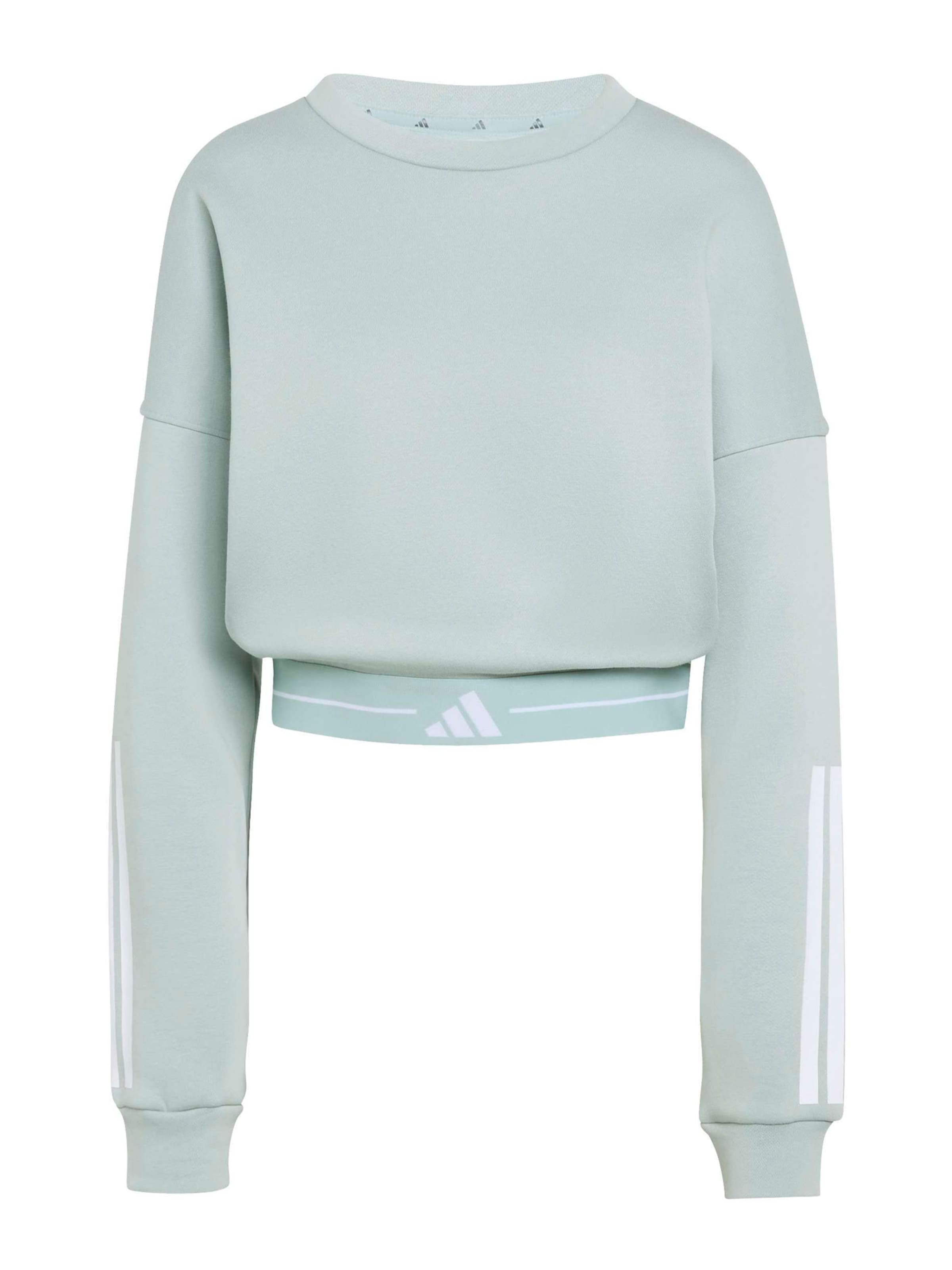 

Adidas Performance Спортивный свитшот 'HYG' в пастельно-голубом цвете