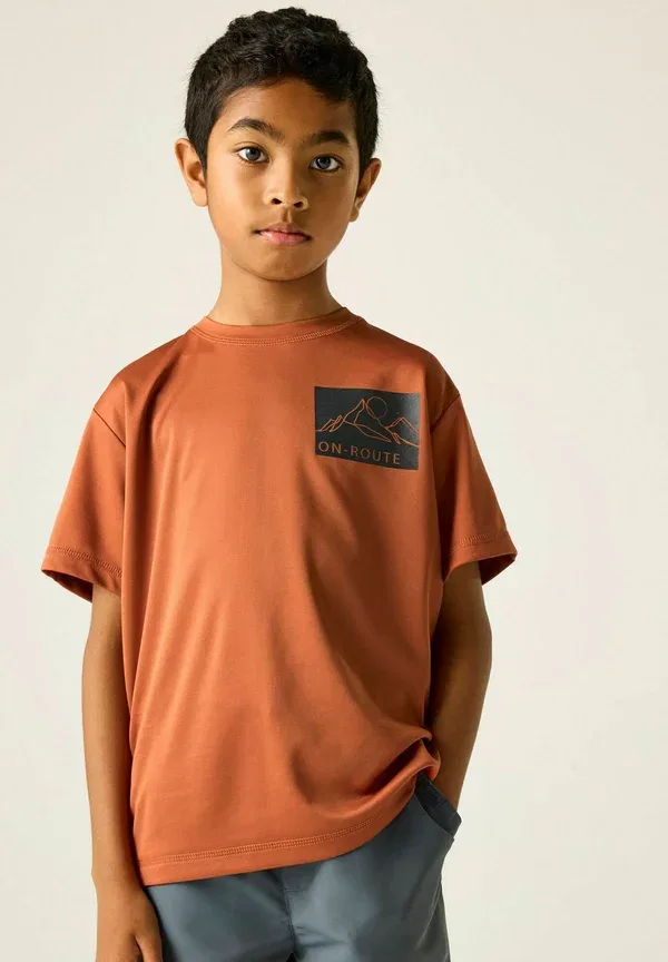 Футболка Regatta Alvarado short sleeved graphic t-shirt, красный — фото 2