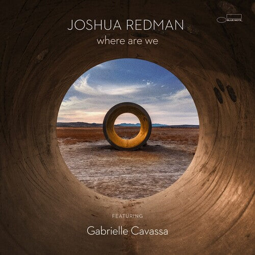 

Виниловая пластинка Redman, Joshua: Where Are We