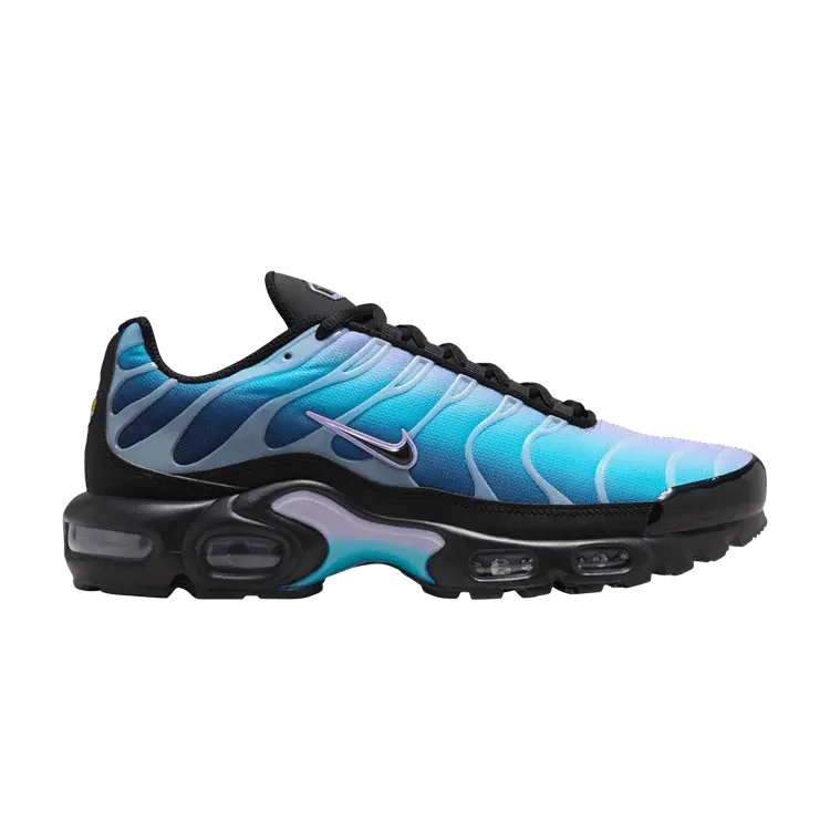 Кроссовки Nike Wmns Air Max Plus Black Hydrangeas, синий