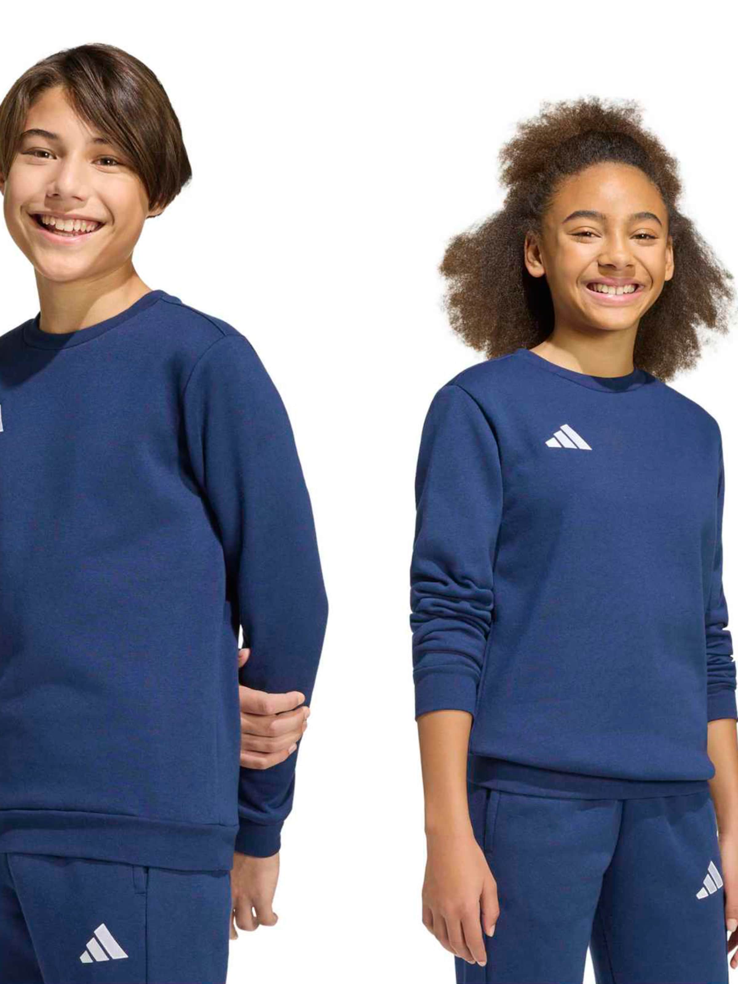 Adidas Performance Спортивная толстовка 'ENT26' в цвете Navy — фото 4
