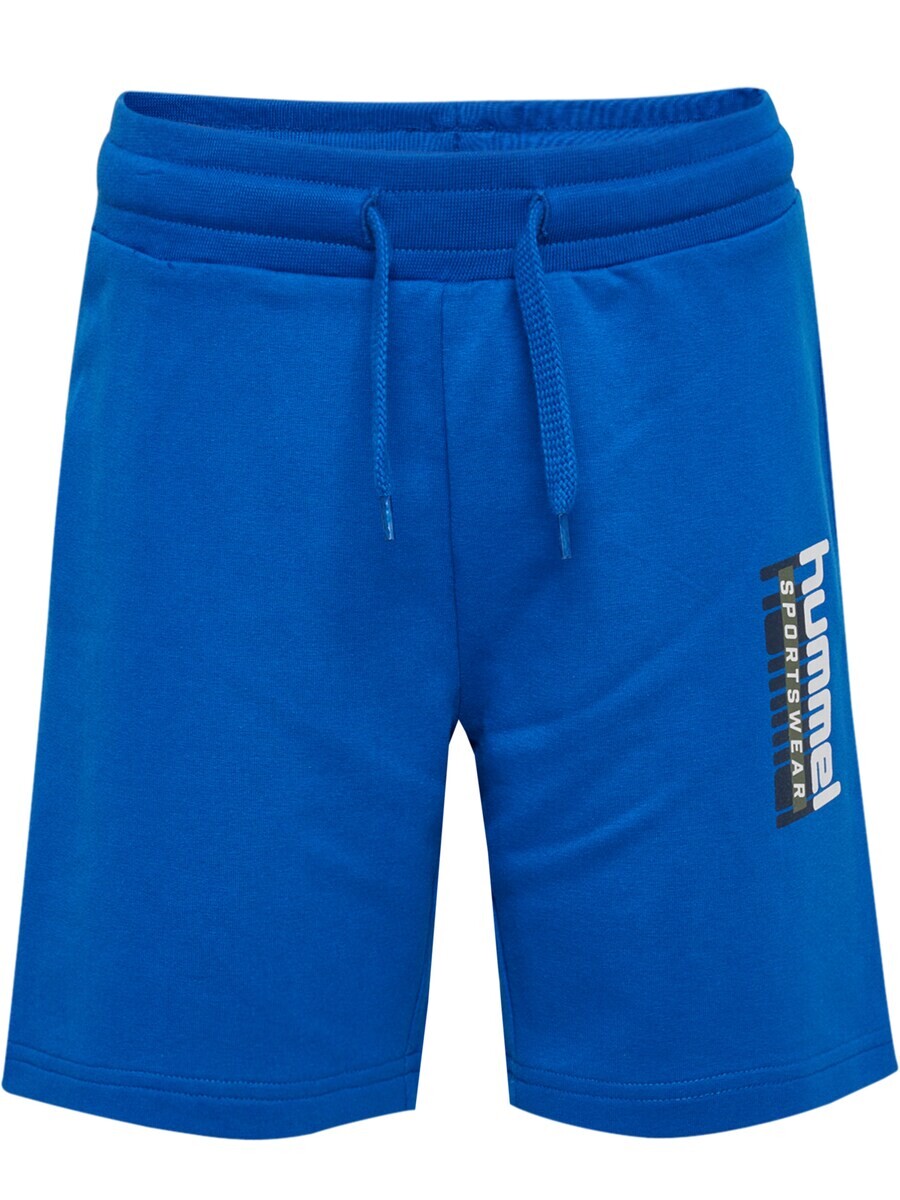 

Брюки Hummel Regular Workout Pants, синий
