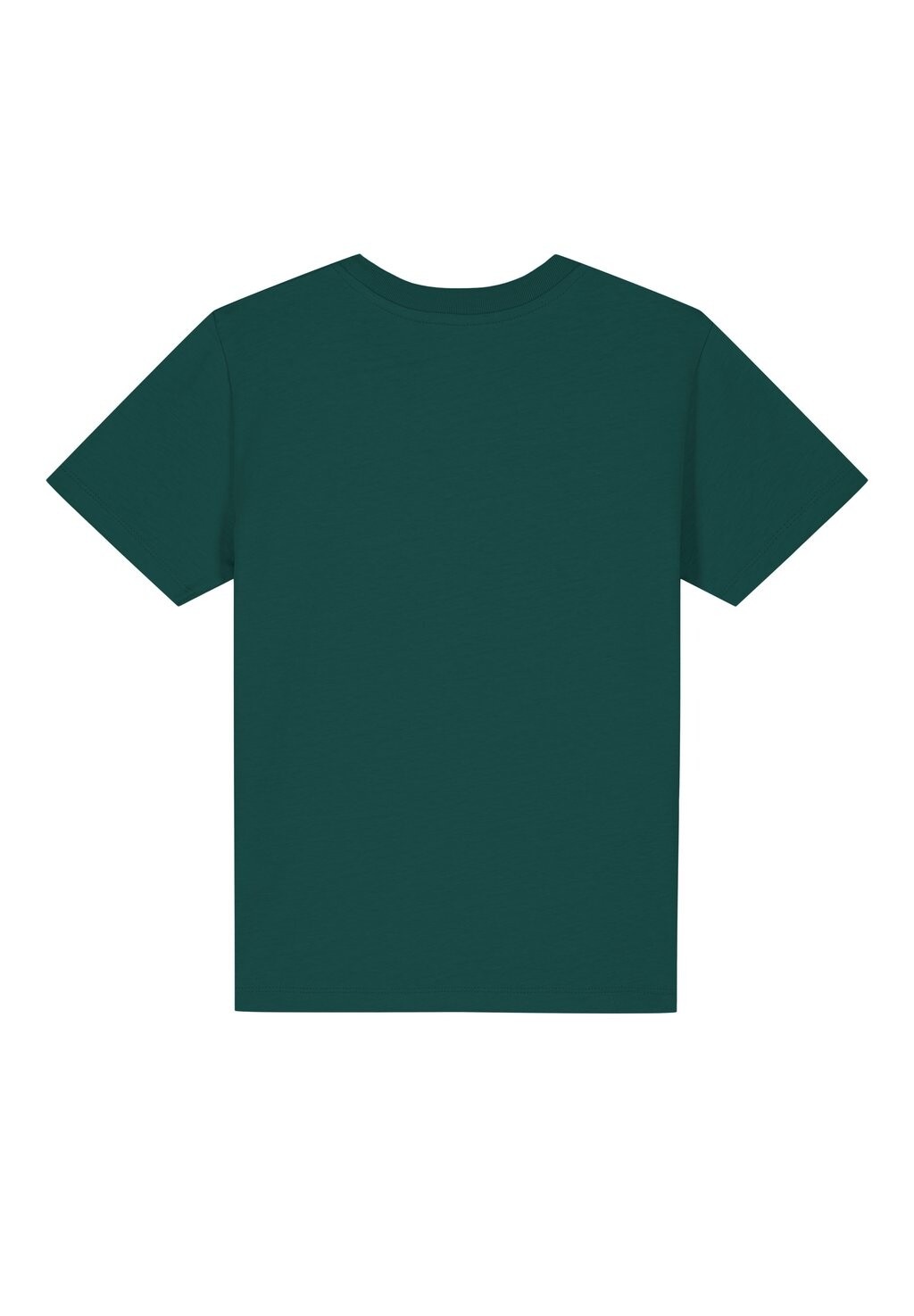 

Футболка с принтом DINOSAURIER watapparel, темно-зеленый