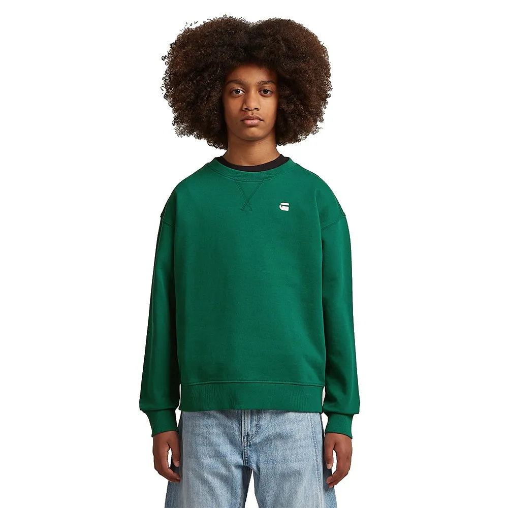 

Свитер G-Star свободного кроя, толстовка UB, зеленый