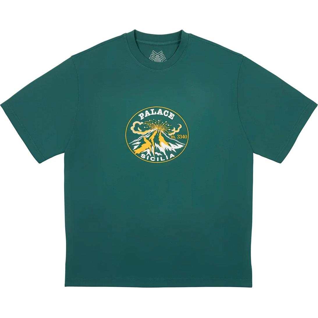 

Активная футболка PALACE, зеленый