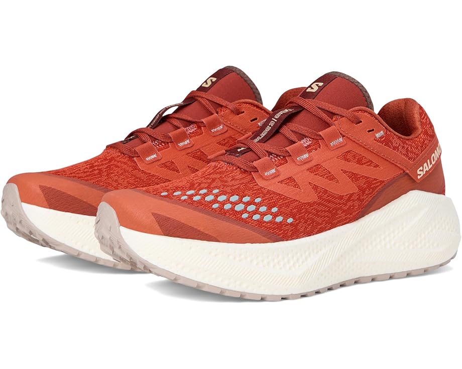 Кроссовки Salomon Aero Glide 3 Grvl, цвет Burnt Ochre/Vanilla Ice/Etherea