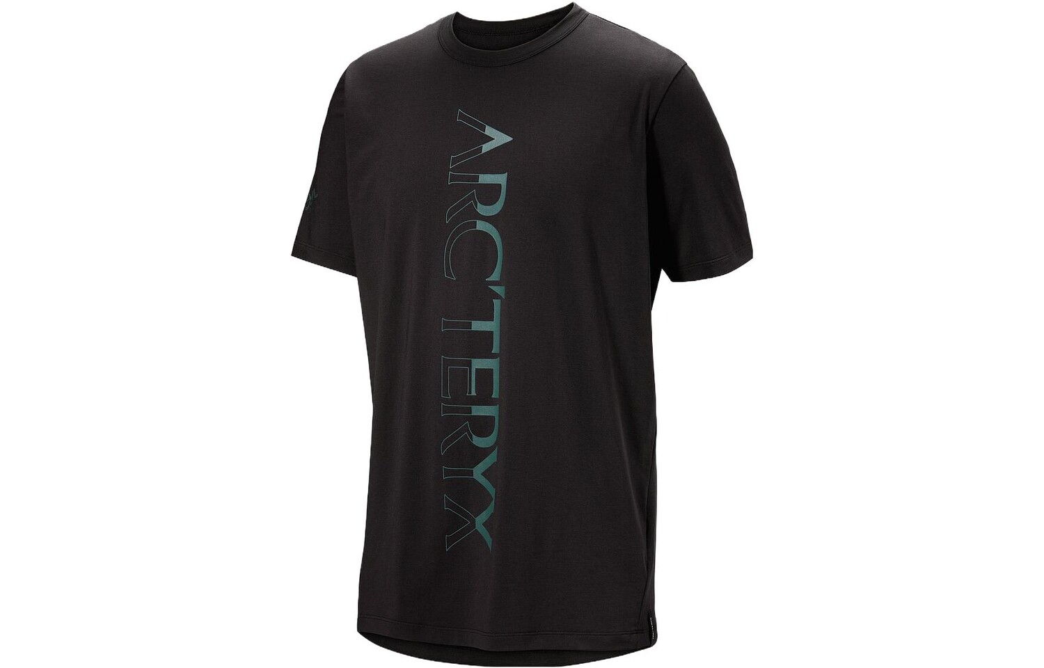 

Футболка мужская Arcteryx DownWord с логотипом, черный