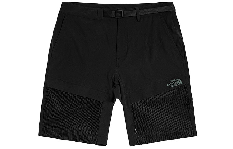 

THE NORTH FACE Мужские повседневные шорты, цвет Black