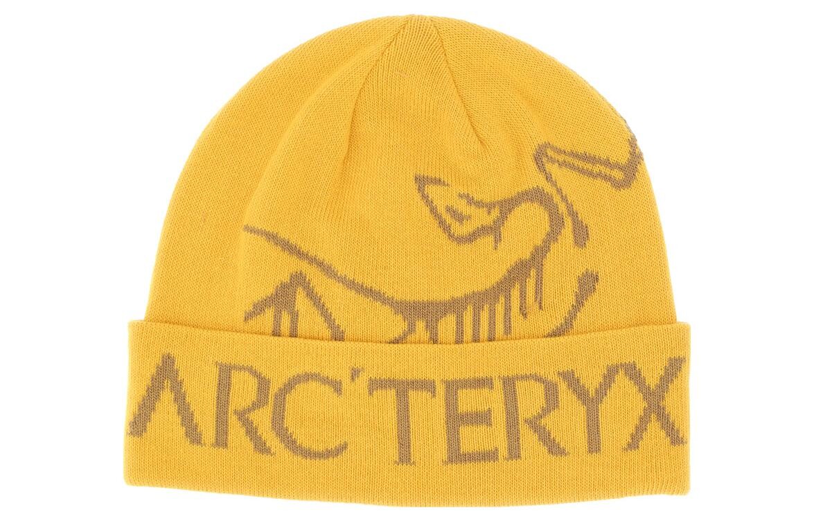 

Шапка Arcteryx мужская, желтый