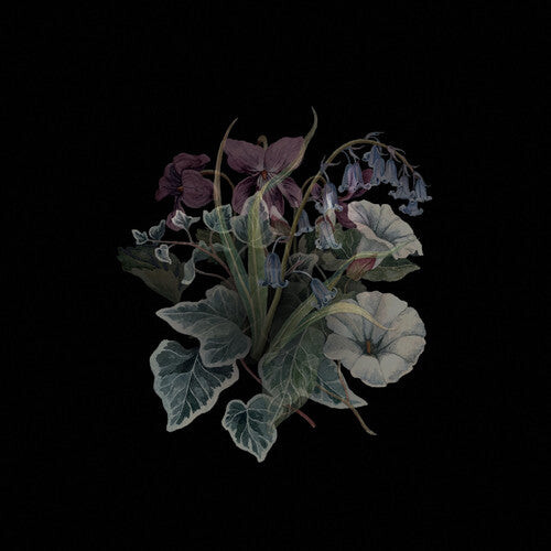 

Виниловая пластинка Nhor: Wildflowers