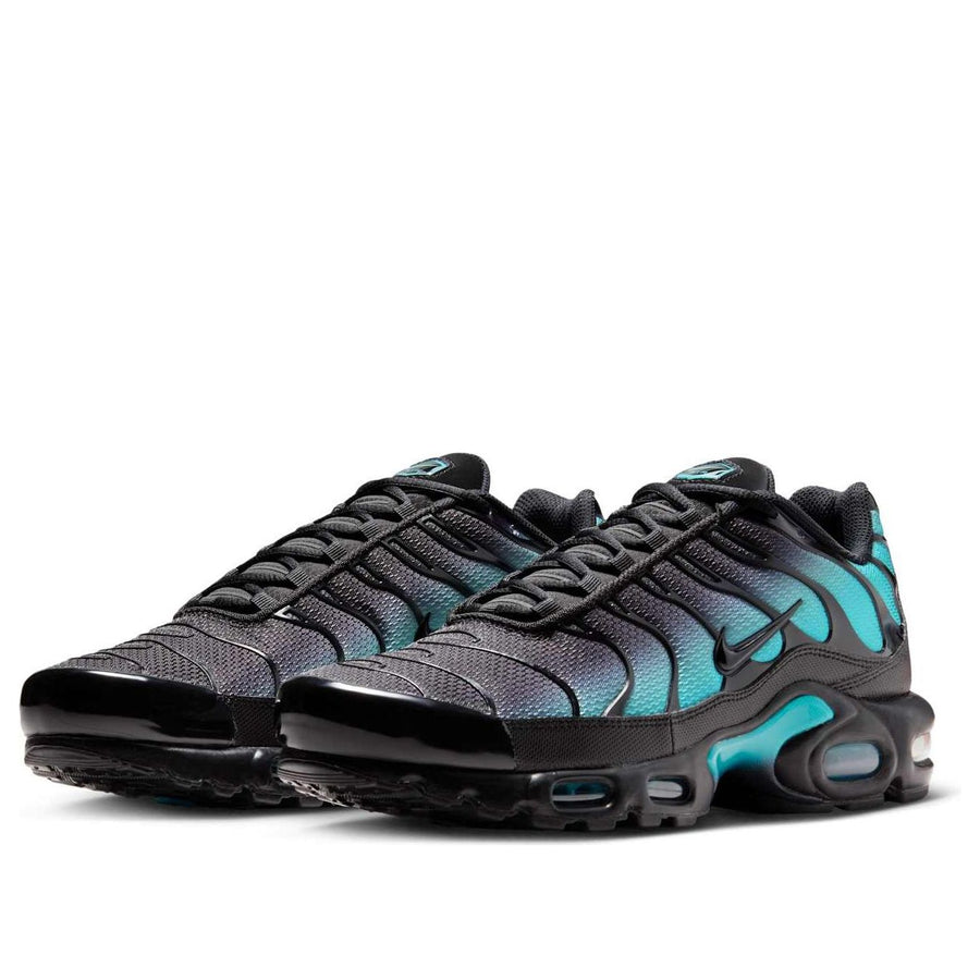 Кроссовки Nike Air Max Plus 'Black Dusty Cactus', черный — фото 3