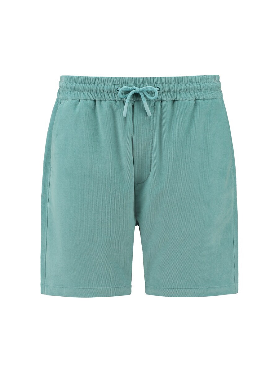 

Шорты Shiwi Regular Pants REED, бирюзовый