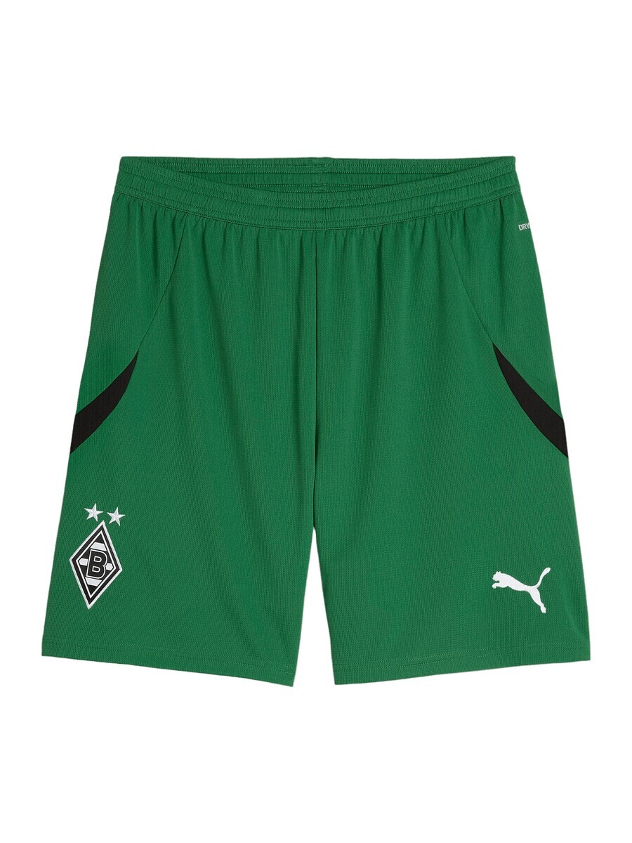 

Шорты PUMA Regular Workout Pants, зеленый
