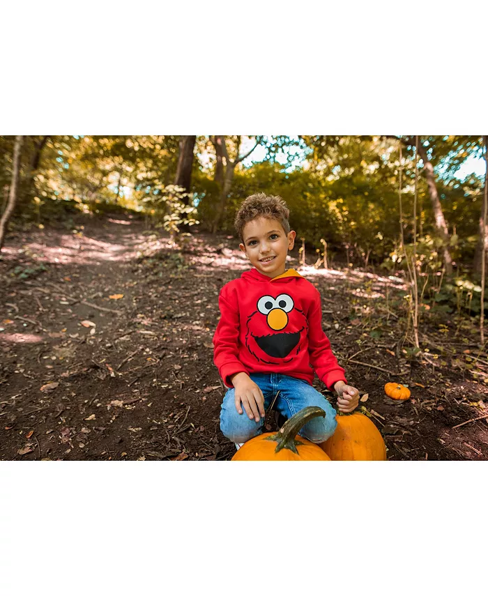 Детская флисовая толстовка с капюшоном для мальчиков Sesame Street, красный — фото 4