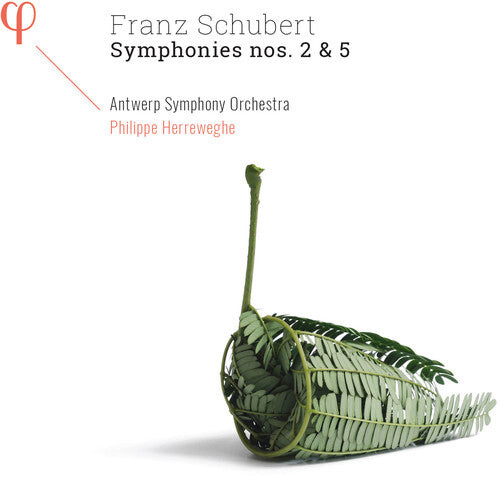 

CD диск Schubert / Antwerp Symphony Orch / Herreweghe: Symphonies 2 & 5