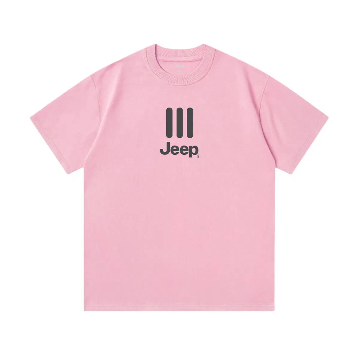 Футболка повседневная Crew Neck Moderate Jeep Sky Pink
