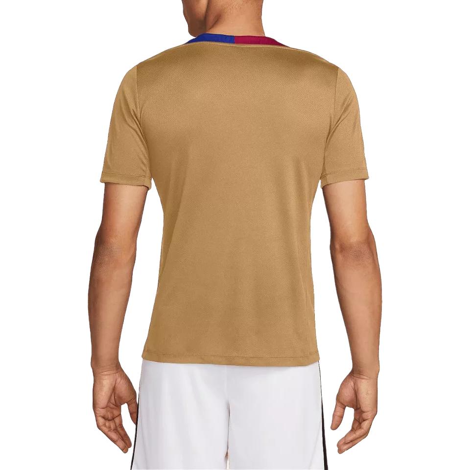 Nike Футболка Dri Fit FCB MNK DF STRK SS Top K для мужчин, Brown — фото 4