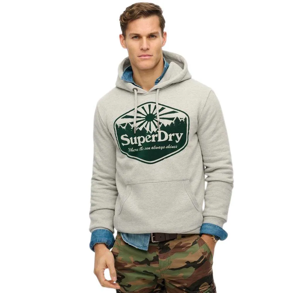 

Худи Superdry Sun, серый