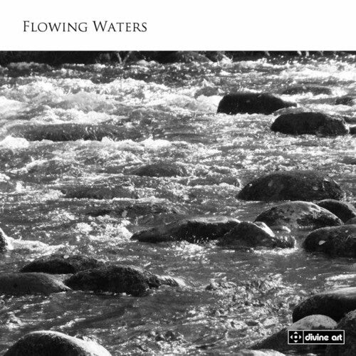 

CD диск Whitlock / Honeybourne / Stokes / Meldrum: Flowing Waters