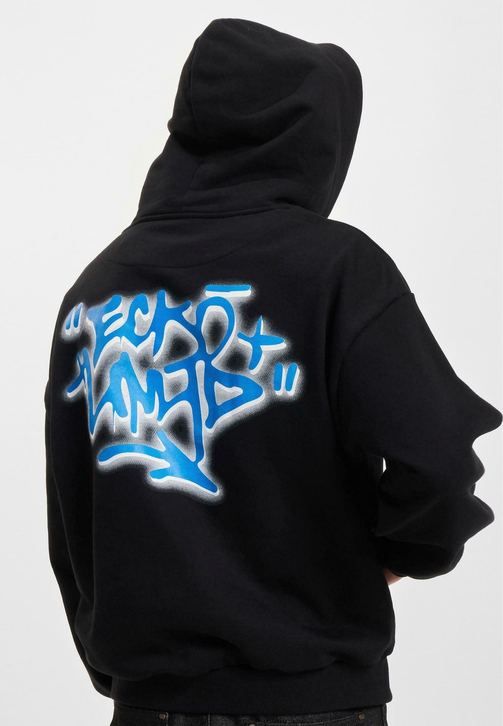

Толстовка SPRAY - Hoodie ecko unltd., черный