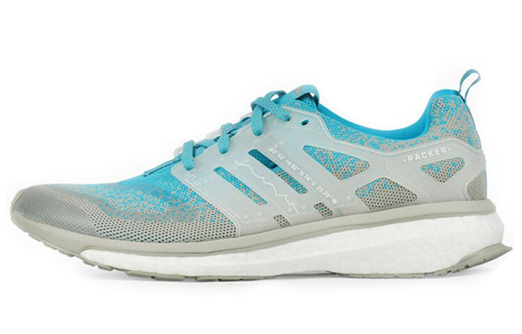 

Кроссовки Adidas Energy Boost Packer x Solebox Silfra Rift