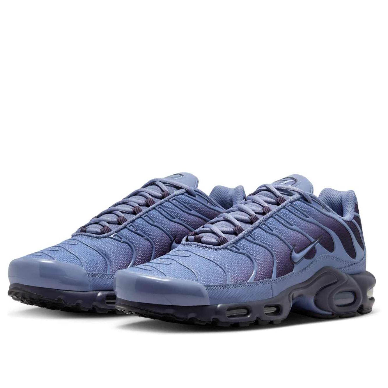 Кроссовки Nike Air Max Plus 'World Indigo' — фото 4