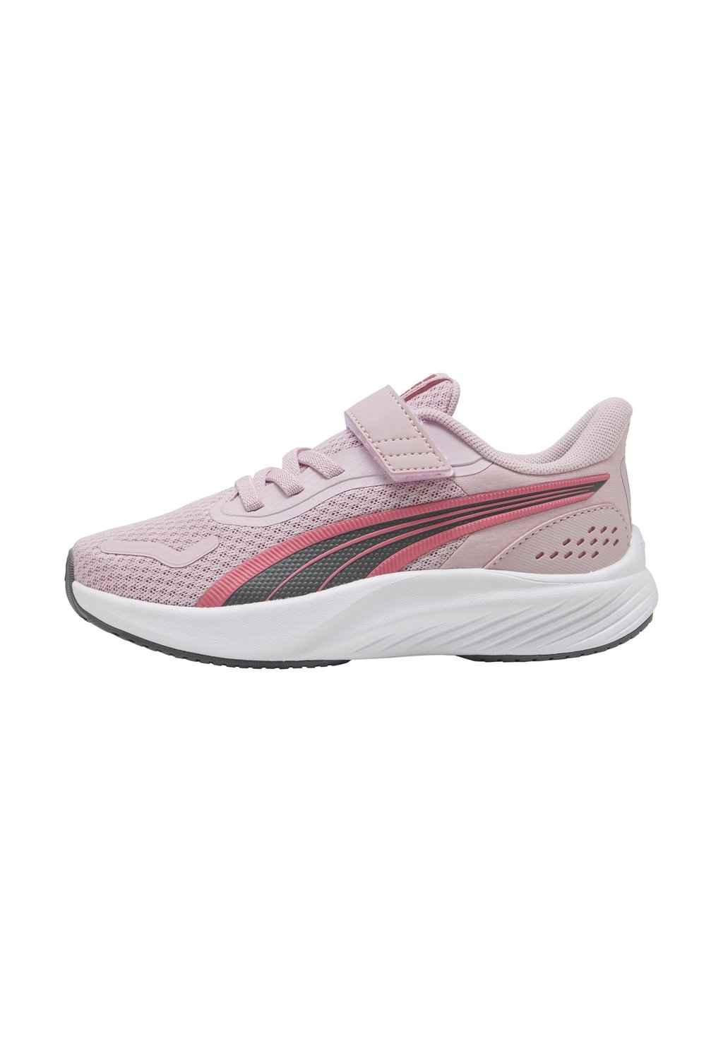 

Низкие кеды BASKET À SCRATCHES POUNCE LITE Puma, фуксия