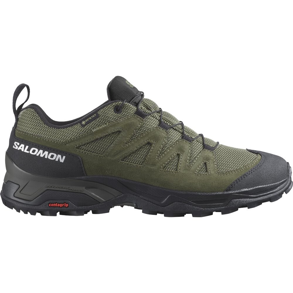 

Походная обувь Salomon X-Ward Leather Goretex, зеленый