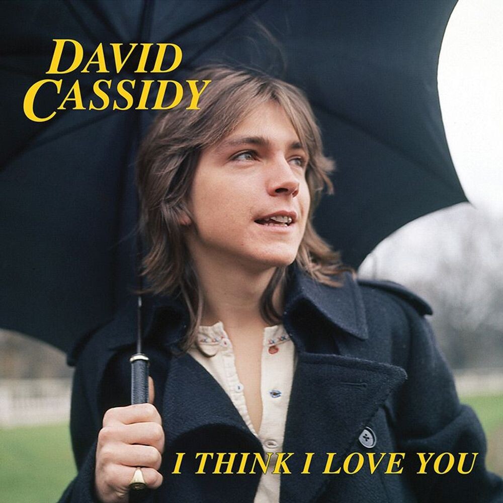 

Виниловая пластинка LP I Think I Love You [Colored Vinyl] (7") - David Cassidy