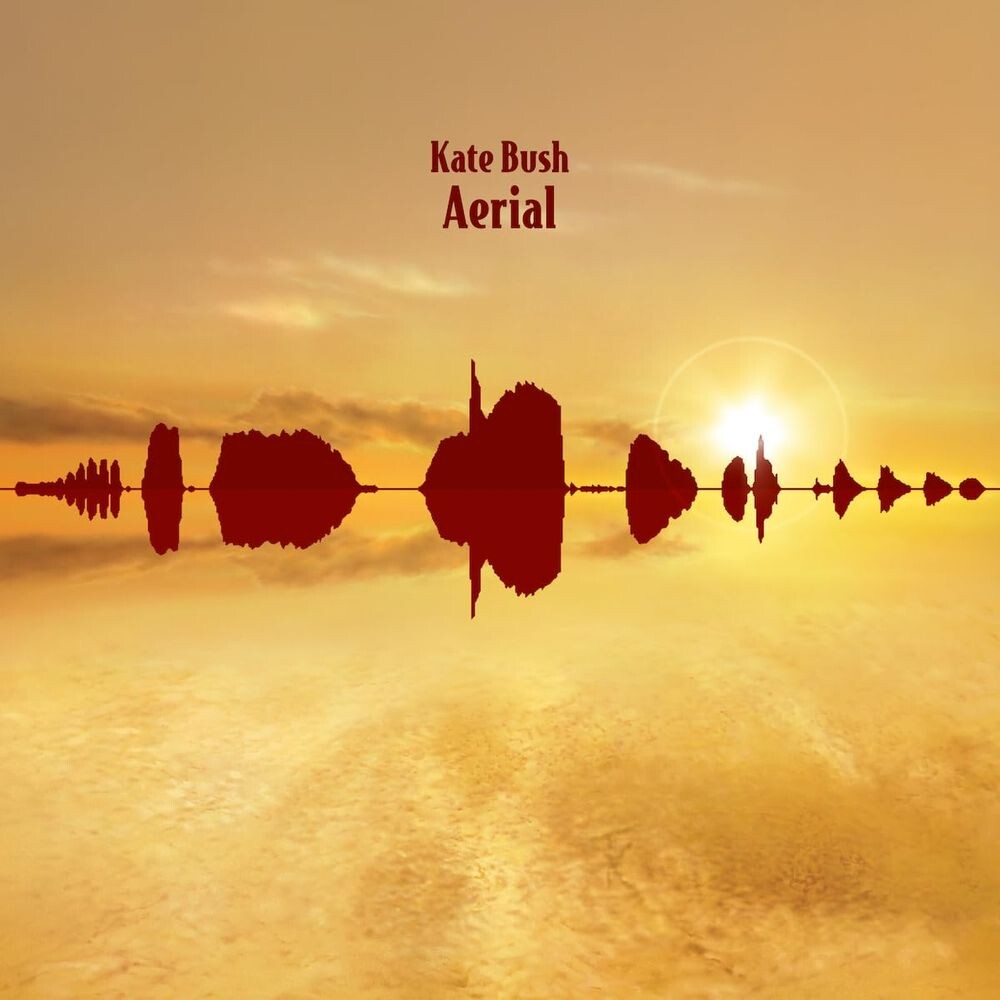 

Диск CD Aerial - Kate Bush