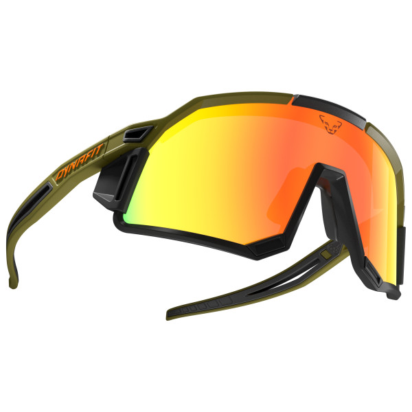 

Солнцезащитные очки Sky Evo Cat 4 - Glacier Goggles Dynafit, мультиколор