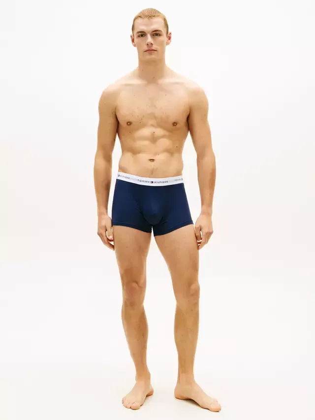 Трусы из эластичного хлопка с поясом, комплект из 3 штук, разноцветные Tommy Hilfiger — фото 3