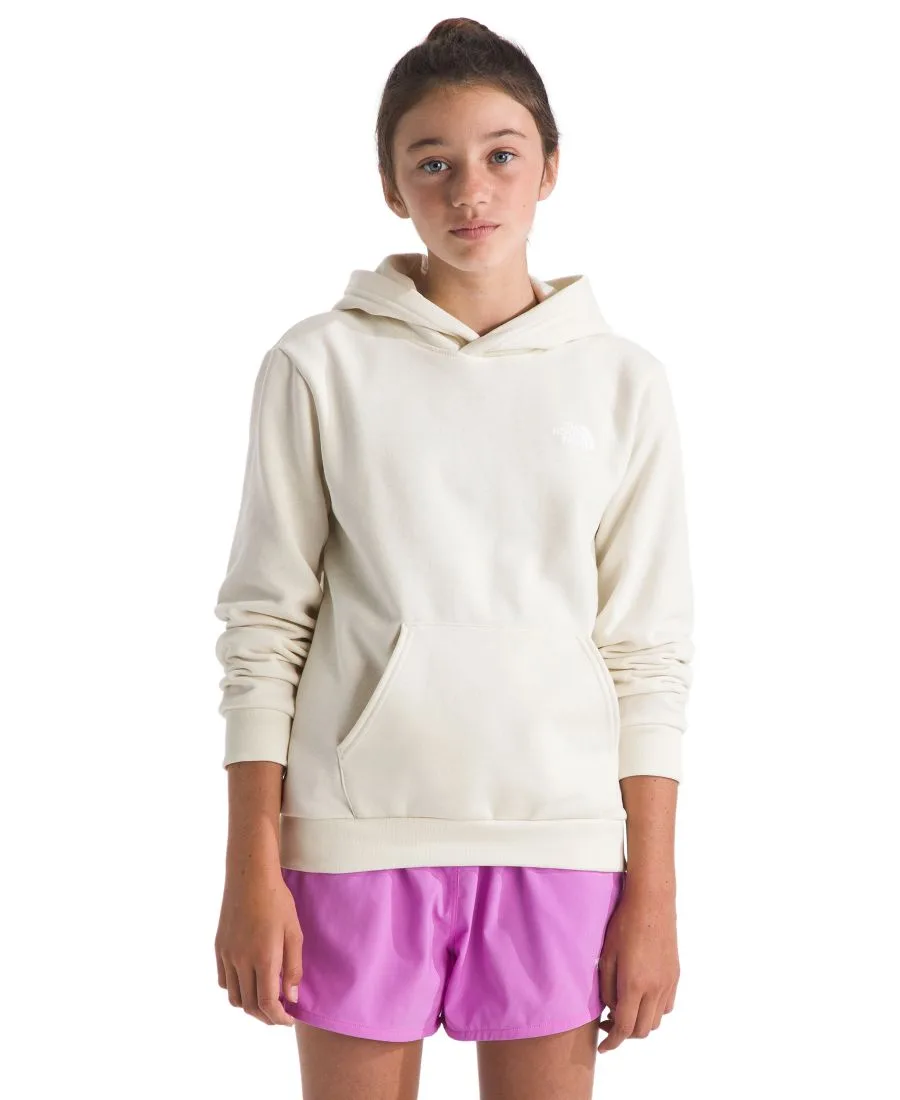 Толстовка Evolution Box NSE Pull-On для девочек и мальчиков 7-16 лет The North Face, белый dune — фото 2