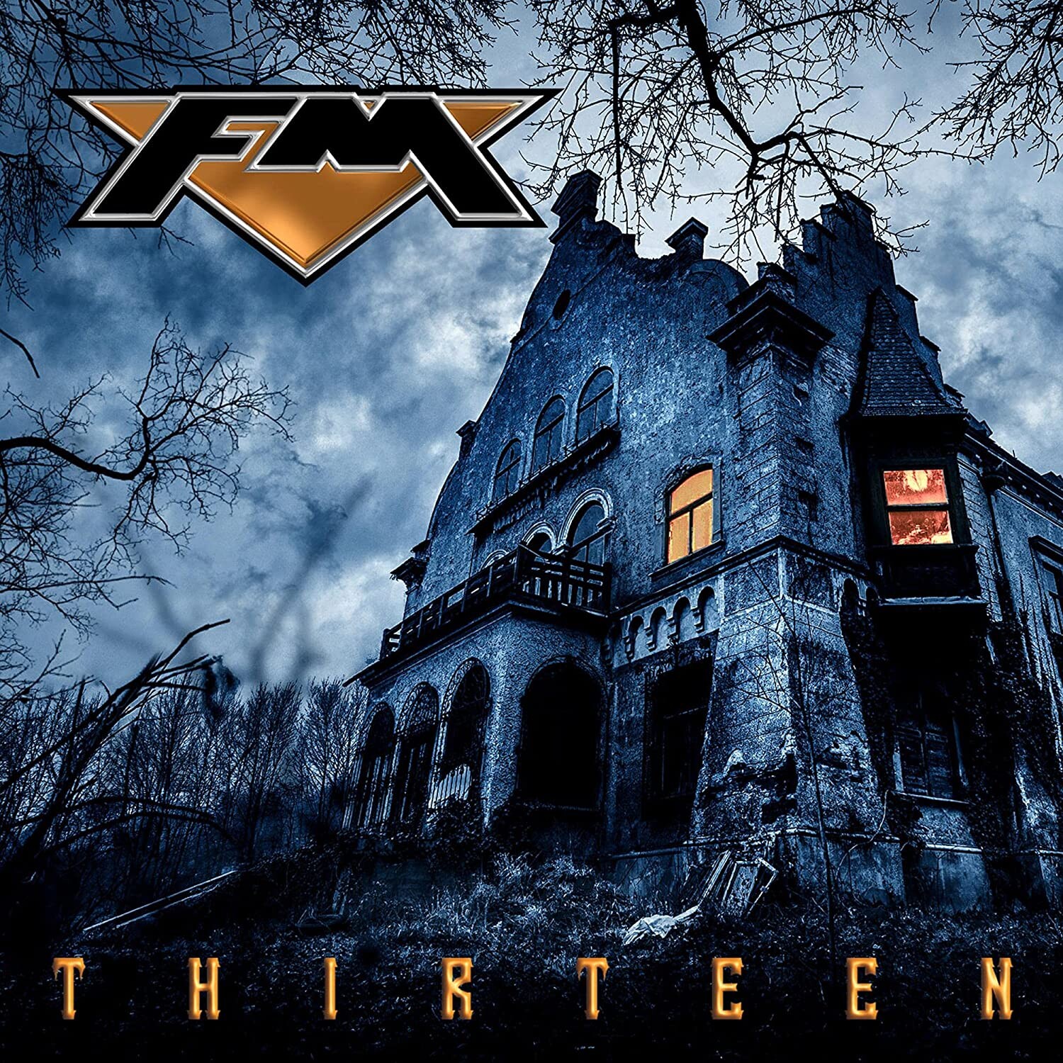 

CD диск FM: Thirteen