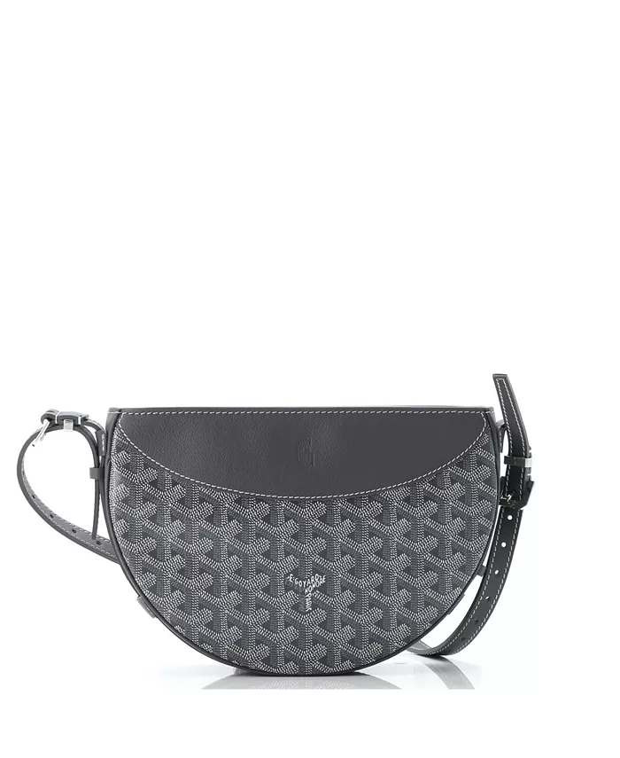

Сумка через плечо Hirondelle из лакированного холста и кожи Pre-Owned Goyard, серый