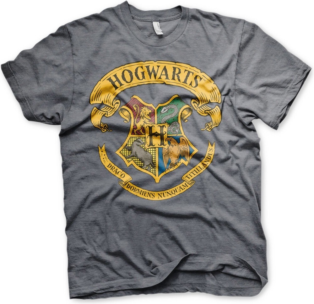 

Футболка Harry Potter, серый